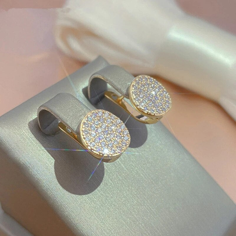 Elegant Bright Rounded Plate Earrings